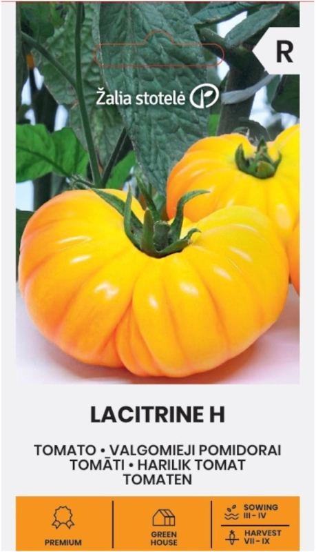 Pomidor Lacitrine H o dużych żółtych owocach nasiona Žalia stotelė sklep rajogrodnika